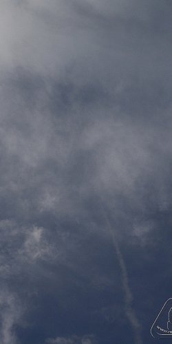 2012 Svojek mirek patek